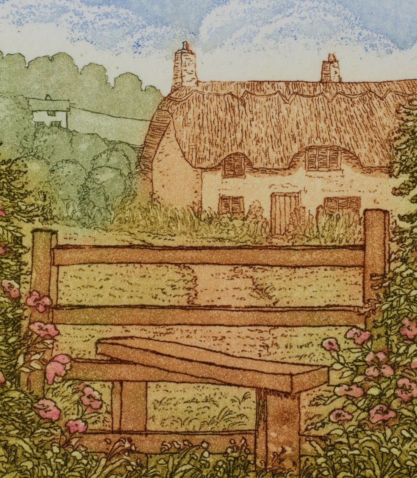 Shop — Stephen Whittle Studios